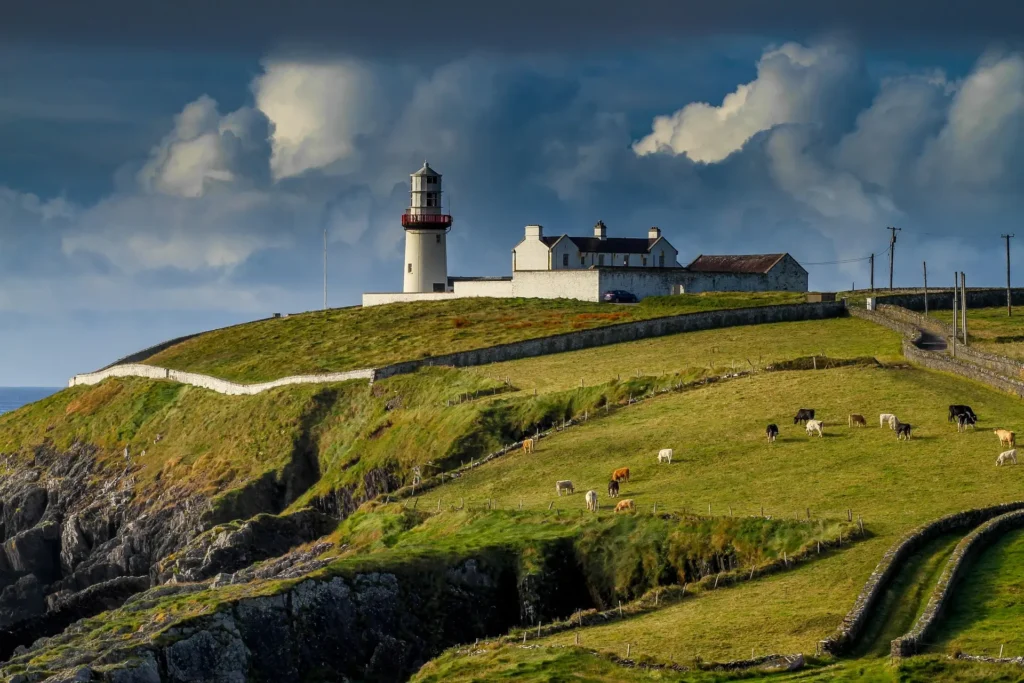 How to Get Stamp 4 in Ireland: Every Route Explained Irish Residence Permit card showing Stamp 4 immigration status in Ireland